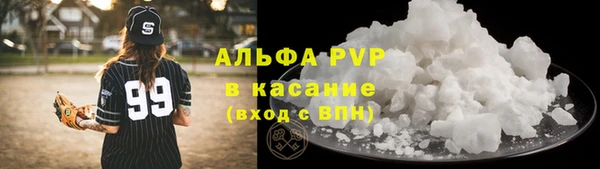 твердый Инсар