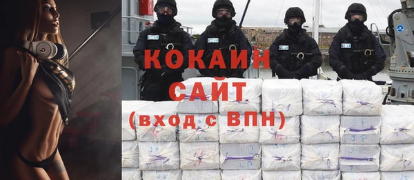 твердый Инсар
