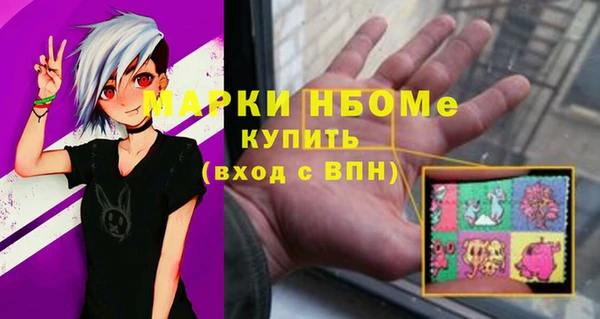 твердый Инсар