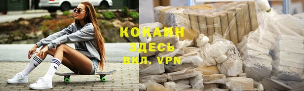 твердый Инсар